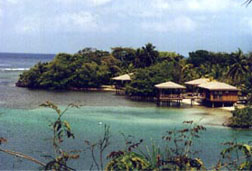 Paya